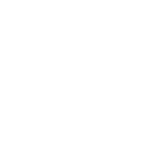 Blue-Chip-Media-300x300